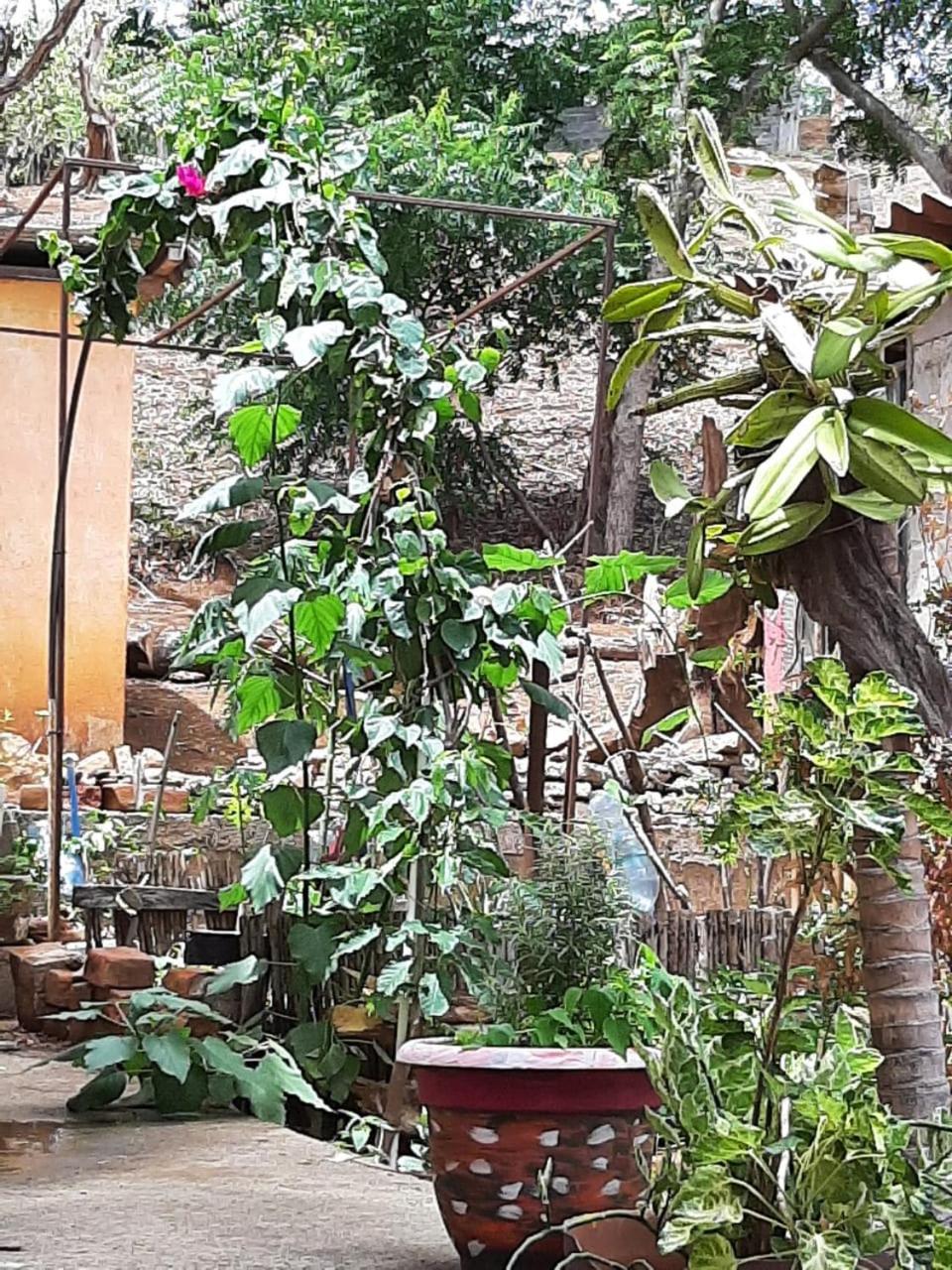 Hotel El Jardin à San Juan del Sur Extérieur photo